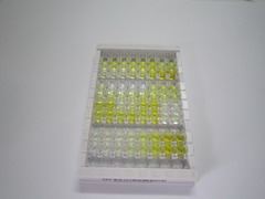电压依赖性阴离子通道蛋白1(VDAC1)检测试剂盒(酶联免疫吸附试验法)