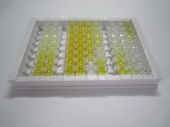 血管抑制蛋白1(VASH1)检测试剂盒(酶联免疫吸附试验法)