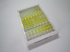 UDP葡萄糖醛酸脱羧酶1(UXS1)检测试剂盒(酶联免疫吸附试验法)