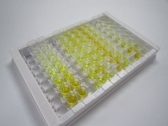 泛素羧基端酯酶L1(UCHL1)检测试剂盒(酶联免疫吸附试验法)