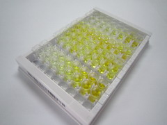 泛醌蛋白2(UBQLN2)检测试剂盒(酶联免疫吸附试验法)