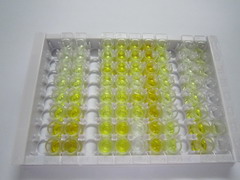 谷氧还蛋白3(GLRX3)检测试剂盒(酶联免疫吸附试验法)