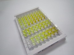丙糖磷酸异构酶1(TPI1)检测试剂盒(酶联免疫吸附试验法)