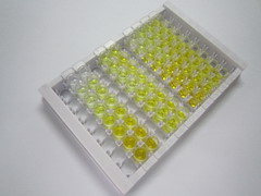Toll样受体衔接分子1(TICAM1)检测试剂盒(酶联免疫吸附试验法)