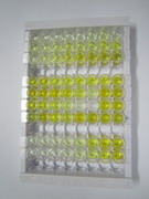 Thimet脱寡肽酶1(THOP1)检测试剂盒(酶联免疫吸附试验法)