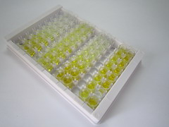 前列腺六跨膜表皮抗原2(STEAP2)检测试剂盒(酶联免疫吸附试验法)