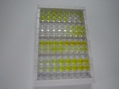 丝氨酸肽酶抑制因子Kazal型5(SPINK5)检测试剂盒(酶联免疫吸附试验法)