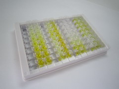 細胞因子信號轉導抑制因子1(SOCS1)檢測試劑盒(酶聯(lián)免疫吸附試驗法)