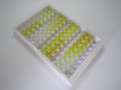 RalA结合蛋白1(RALBP1)检测试剂盒(酶联免疫吸附试验法)