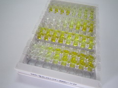 谷氨酰胺酰肽环转移酶(QPCT)检测试剂盒(酶联免疫吸附试验法)