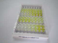 过氧化物酶体增殖物激活受体γ辅激活因子1α(PPARgC1a)检测试剂盒(酶联免疫吸附试验法)