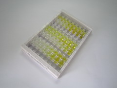 异戊烯半胱氨酸氧化酶1(PCYOX1)检测试剂盒(酶联免疫吸附试验法)