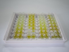 神经突蛋白1(NRN1)检测试剂盒(酶联免疫吸附试验法)