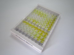 C-Myc结合蛋白(MYCBP)检测试剂盒(酶联免疫吸附试验法)