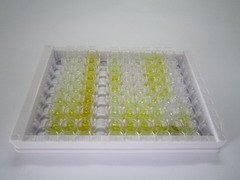 间皮素(MSLN)检测试剂盒(酶联免疫吸附试验法)