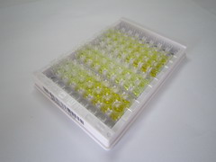 眼小畸形关联转录因子(MITF)检测试剂盒(酶联免疫吸附试验法)