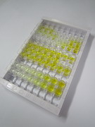 NADP依赖性苹果酶2(ME2)检测试剂盒(酶联免疫吸附试验法)