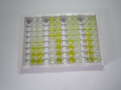 蘋果酸脫氫酶1(MDH1)檢測試劑盒(酶聯(lián)免疫吸附試驗法)