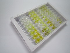 亮氨酸丰富重复激酶2(LRRK2)检测试剂盒(酶联免疫吸附试验法)