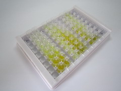 亮氨酰/半胱氨酰氨肽酶(LNPEP)检测试剂盒(酶联免疫吸附试验法)