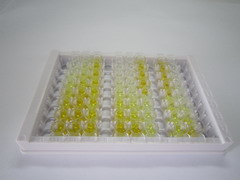 可罗索β(KLb)检测试剂盒(酶联免疫吸附试验法)