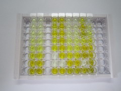 中间α-球蛋白抑制因子H2(ITIH2)检测试剂盒(酶联免疫吸附试验法)