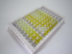 含免疫球蛋白超家族亮氨酸豐富重復(fù)蛋白(ISLR)檢測試劑盒(酶聯(lián)免疫吸附試驗法)