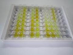 白介素1受体样蛋白1(IL1RL1)检测试剂盒(酶联免疫吸附试验法)
