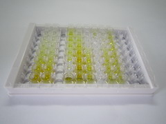 異檸檬酸脫氫酶2(IDH2)檢測試劑盒(酶聯(lián)免疫吸附試驗(yàn)法)