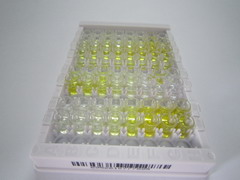 含Patatin样磷脂酶域蛋白3(PNPLA3)检测试剂盒(酶联免疫吸附试验法)