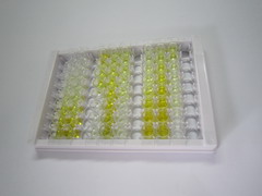 组氨酸三聚体核苷结合蛋白1(HINT1)检测试剂盒(酶联免疫吸附试验法)