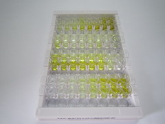 谷氨酰胺酶(GLS)檢測(cè)試劑盒(酶聯(lián)免疫吸附試驗(yàn)法)