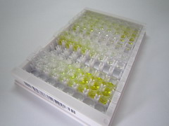 卵泡抑素樣蛋白3(FSTL3)檢測試劑盒(酶聯免疫吸附試驗法)