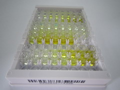 卵泡抑素樣蛋白1(FSTL1)檢測試劑盒(酶聯(lián)免疫吸附試驗(yàn)法)