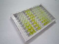 电子传递黄素蛋白脱氢酶(ETFDH)检测试剂盒(酶联免疫吸附试验法)