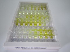 雙糖鏈蛋白聚糖(BGN)檢測試劑盒(酶聯(lián)免疫吸附試驗(yàn)法)