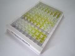 钙调神经磷酸酶调节因子1(RCAN1)检测试剂盒(酶联免疫吸附试验法)