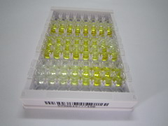 二酰甘油-O-酰基转移酶同源物1(DGAT1)检测试剂盒(酶联免疫吸附试验法)