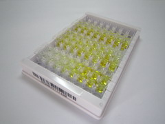 多萜醇二磷酸寡糖蛋白环糊精糖基转移酶(DDOST)检测试剂盒(酶联免疫吸附试验法)