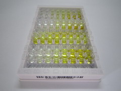 DNA损伤诱导转录因子3(DDIT3)检测试剂盒(酶联免疫吸附试验法)