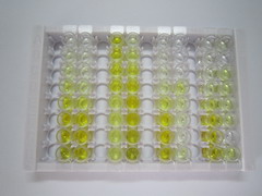 D-氨基酸氧化酶激活因子(DAOA)檢測(cè)試劑盒(酶聯(lián)免疫吸附試驗(yàn)法)