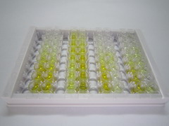 D-氨基酸氧化酶(DAO)检测试剂盒(酶联免疫吸附试验法)