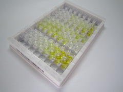 半胱氨酸蛋白酶抑制剂4(CST4)检测试剂盒(酶联免疫吸附试验法)