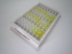 酪蛋白κ(CSN3)检测试剂盒(酶联免疫吸附试验法)