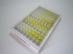軟骨中間層蛋白2(CILP2)檢測(cè)試劑盒(酶聯(lián)免疫吸附試驗(yàn)法)