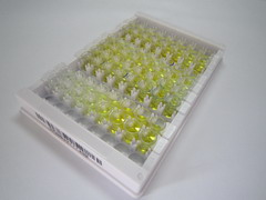 卵磷脂胆固醇脂酰转移酶(LCAT)检测试剂盒(酶联免疫吸附试验法)