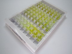 BMP结合内皮调节因子(BMPER)检测试剂盒(酶联免疫吸附试验法)