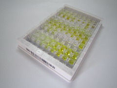 胆绿素还原酶B(BLVRB)检测试剂盒(酶联免疫吸附试验法)