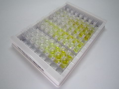苄氯素1(BECN1)检测试剂盒(酶联免疫吸附试验法)