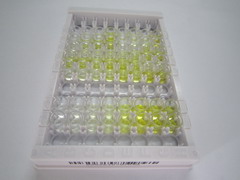 砷剂3-氧化位甲基转移酶(AS3MT)检测试剂盒(酶联免疫吸附试验法)